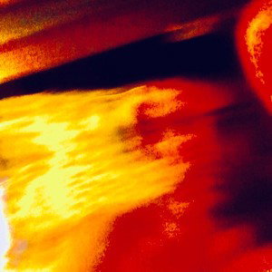 ORION STARSEED
