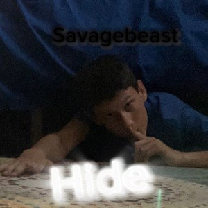 Hide