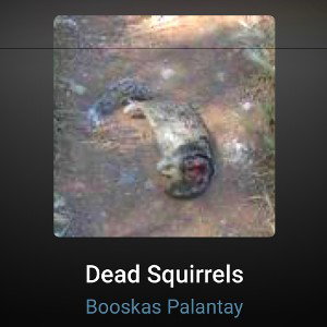 DEAD SQUIRRELS