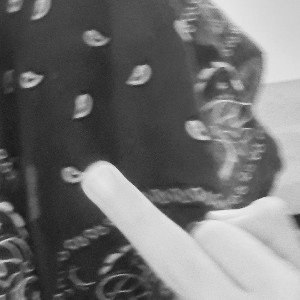 Le camoufler