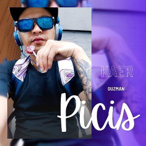 Picis 
