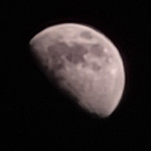 THE MOON MAN IS REAL
