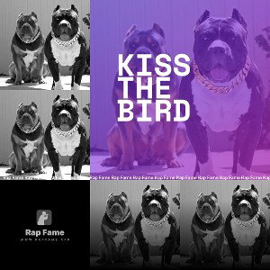 kiss the bird