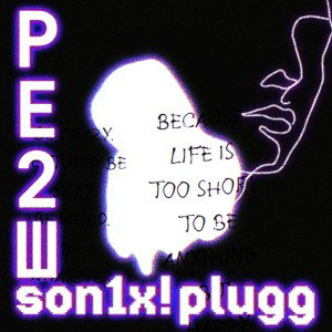 РЕ2Ш