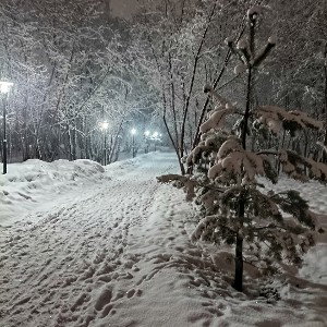 Селяви(2 версия)Demo