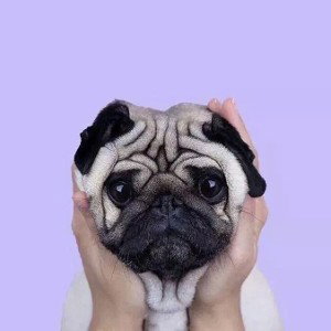Для подписчиков!?
