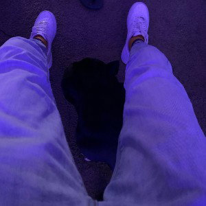 certified hands