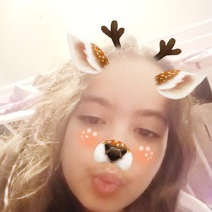 skyee