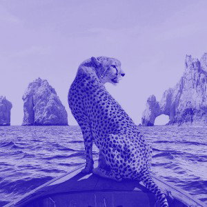 Awh (Slowed + Reverb)