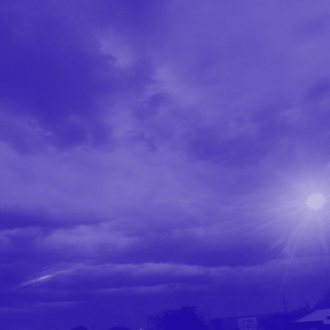 not (Slowed + Reverb)
