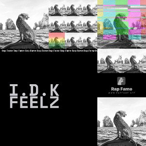 I.D.K Feelz