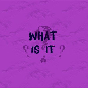  What Is It