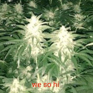 we so hi