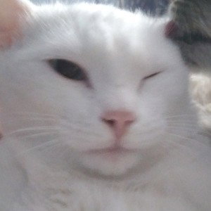 не хочу в школу