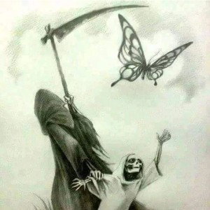 angle with no wings 