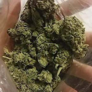 no artificial flavors 