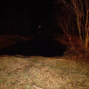 Lurking