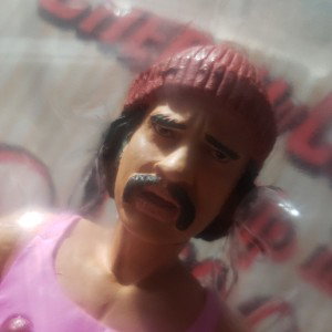 are u a mexican or a mexicant _