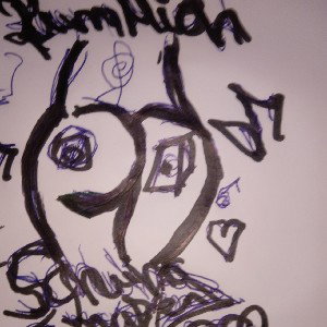 Pferde