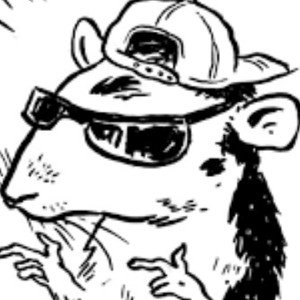 The Rats