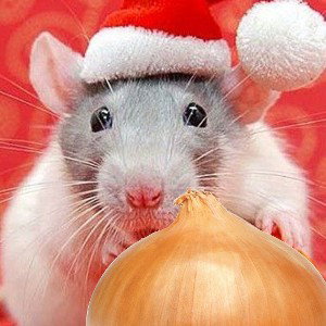 RAT RIZZ