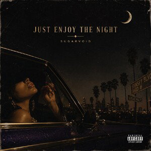 Just Enjoy The Night