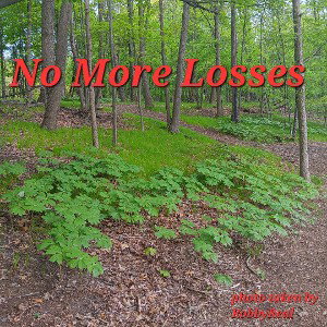 No More Losses