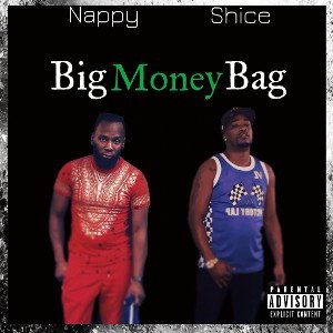 Big Money Bag