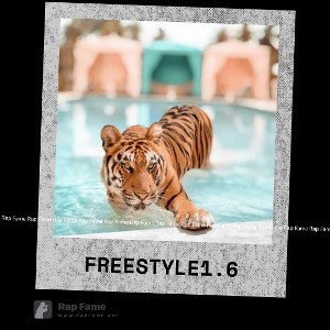 freestyle 1.6