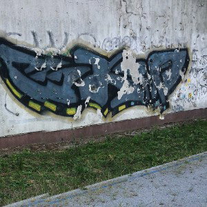 diss na chrabąszcze feat •TKM•