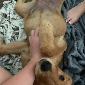 stop biting me