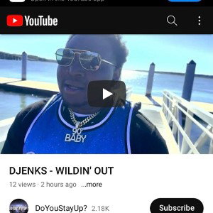 DJENKS - WILDIN' OUT