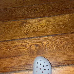Stuck in the house!