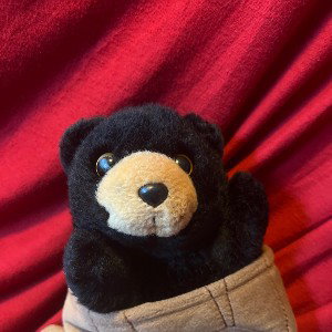 The 100 followers puppet song
