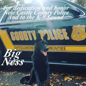 #BigNessMyLove/N.C.C.P And The K-9 Squad