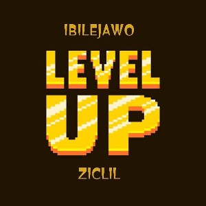 Level up ft ZIClil 