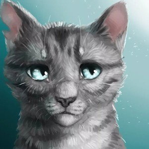 Беседа О Котах!