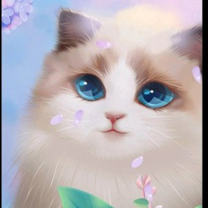 Котик дома один