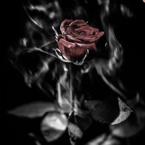 На губах тая 🥀🍷
