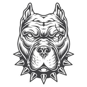 DOFOMIN-HUNGRY DOG