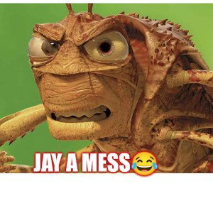 Down Blvd - JAY A MESS 