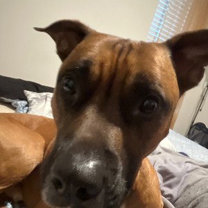 kilo