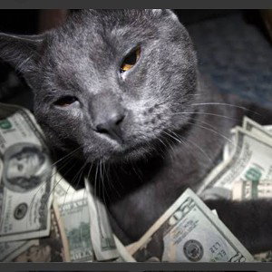 quando você tá falando de mim eu tô fazendo dólar 🖕🏽