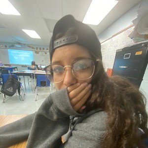 Skibididomdom