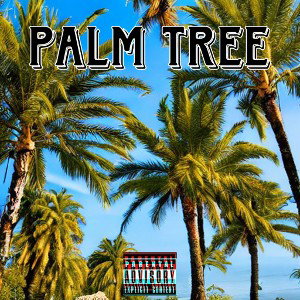 RichJalen x WhyNotRob - Palm Tree