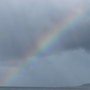 Hope & Struggle  …mayday