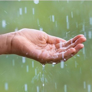 Rain (feat. Revilo)