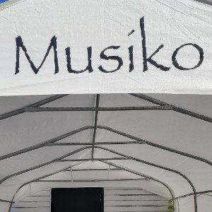 suis le rock stars dans la cour musiko