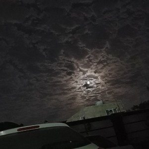 شمع