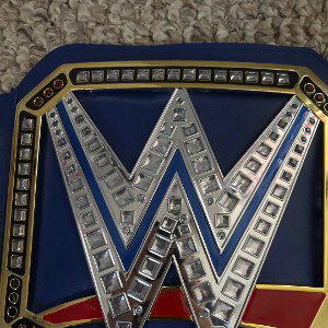 wwe rules